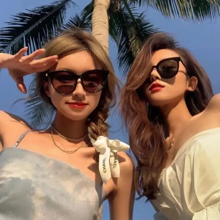 金刚斗恐龙